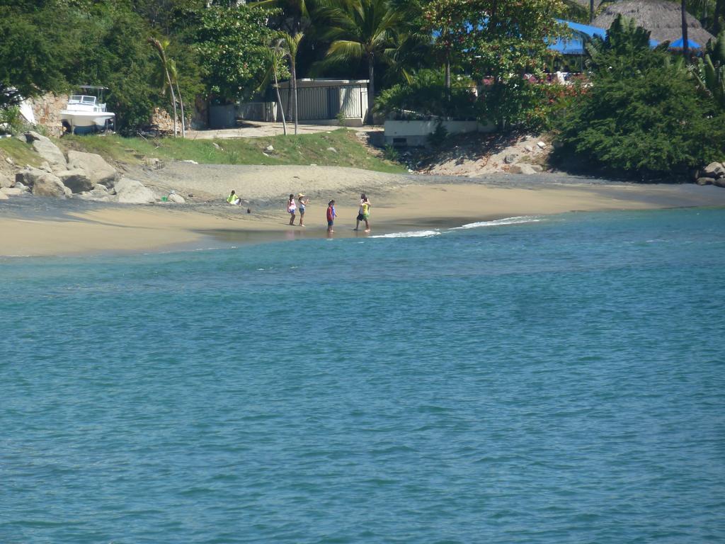 Dolphin Cove Inn Manzanillo Εξωτερικό φωτογραφία