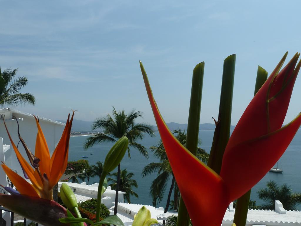Dolphin Cove Inn Manzanillo Εξωτερικό φωτογραφία