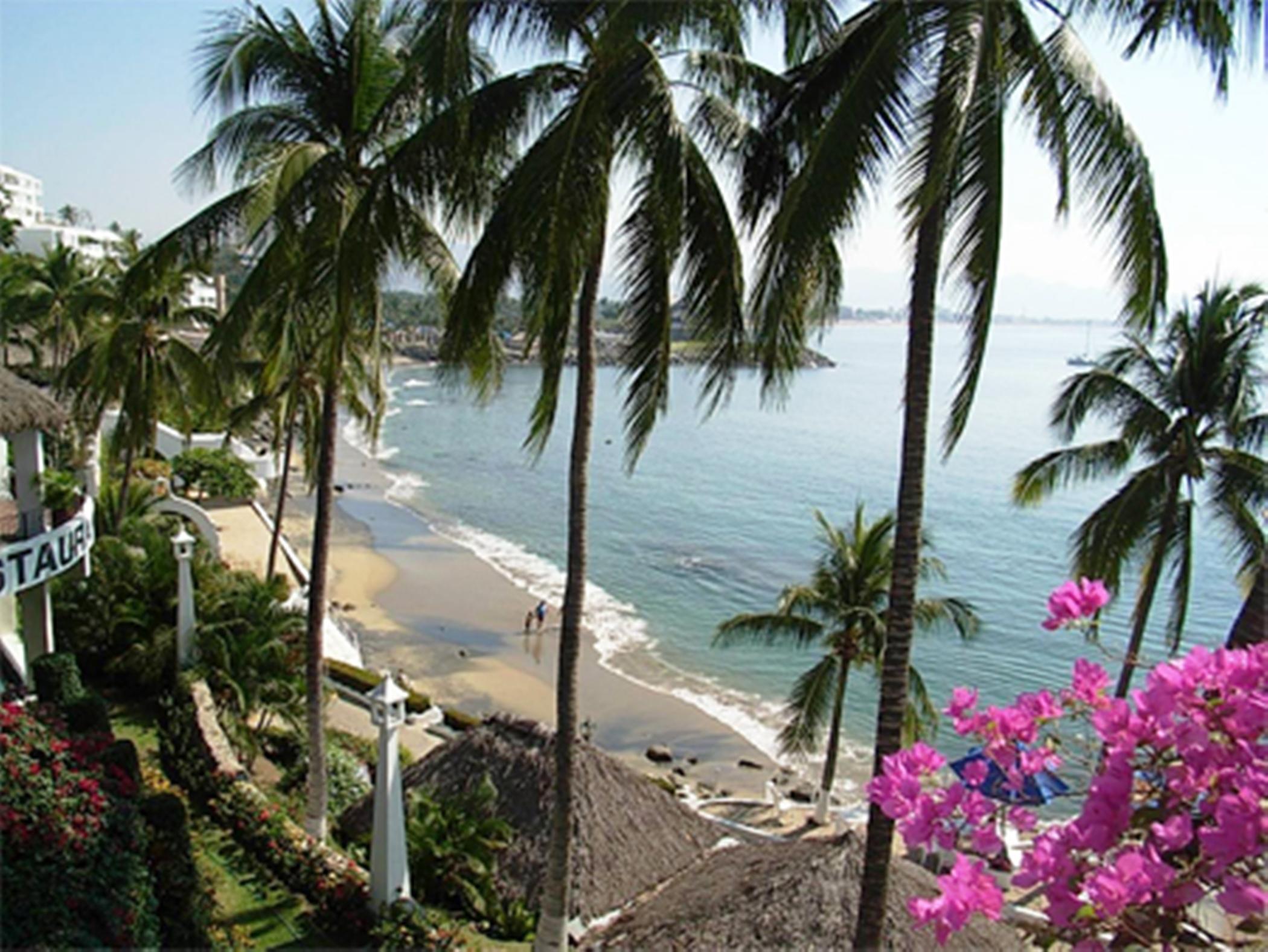 Dolphin Cove Inn Manzanillo Εξωτερικό φωτογραφία