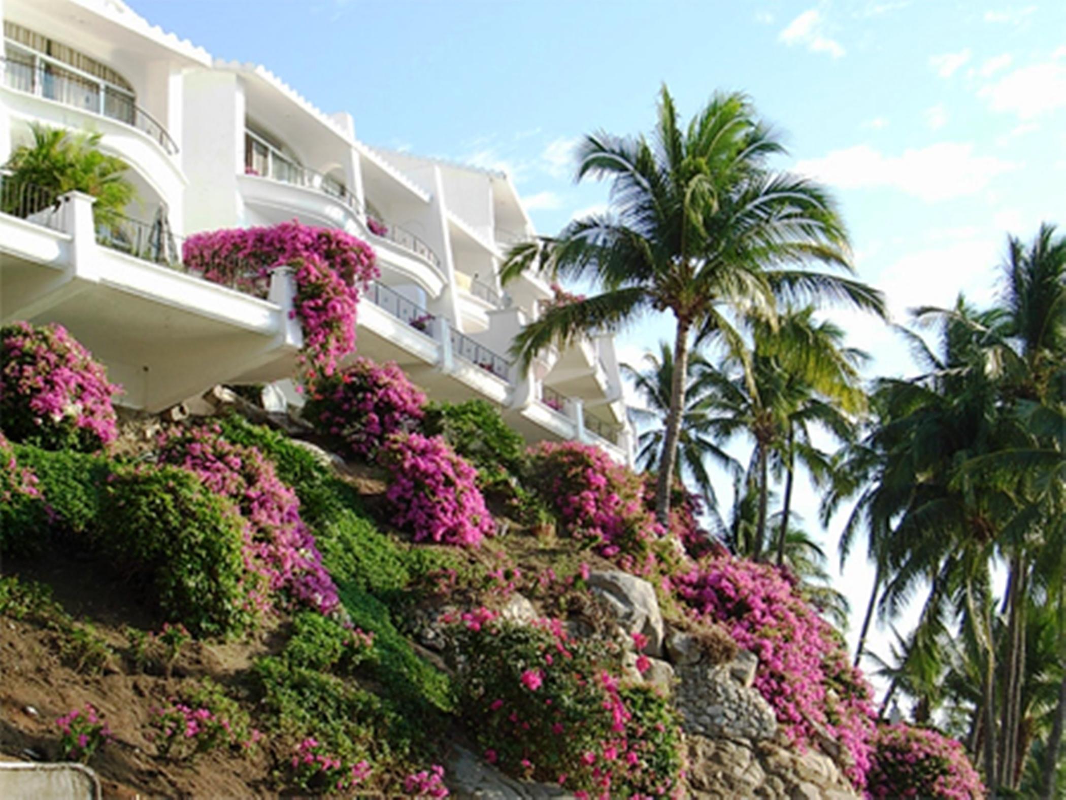 Dolphin Cove Inn Manzanillo Εξωτερικό φωτογραφία