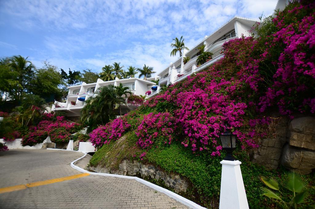 Dolphin Cove Inn Manzanillo Εξωτερικό φωτογραφία